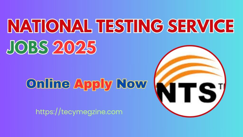 NTS Job