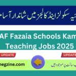 Teaching Jobs at PAF